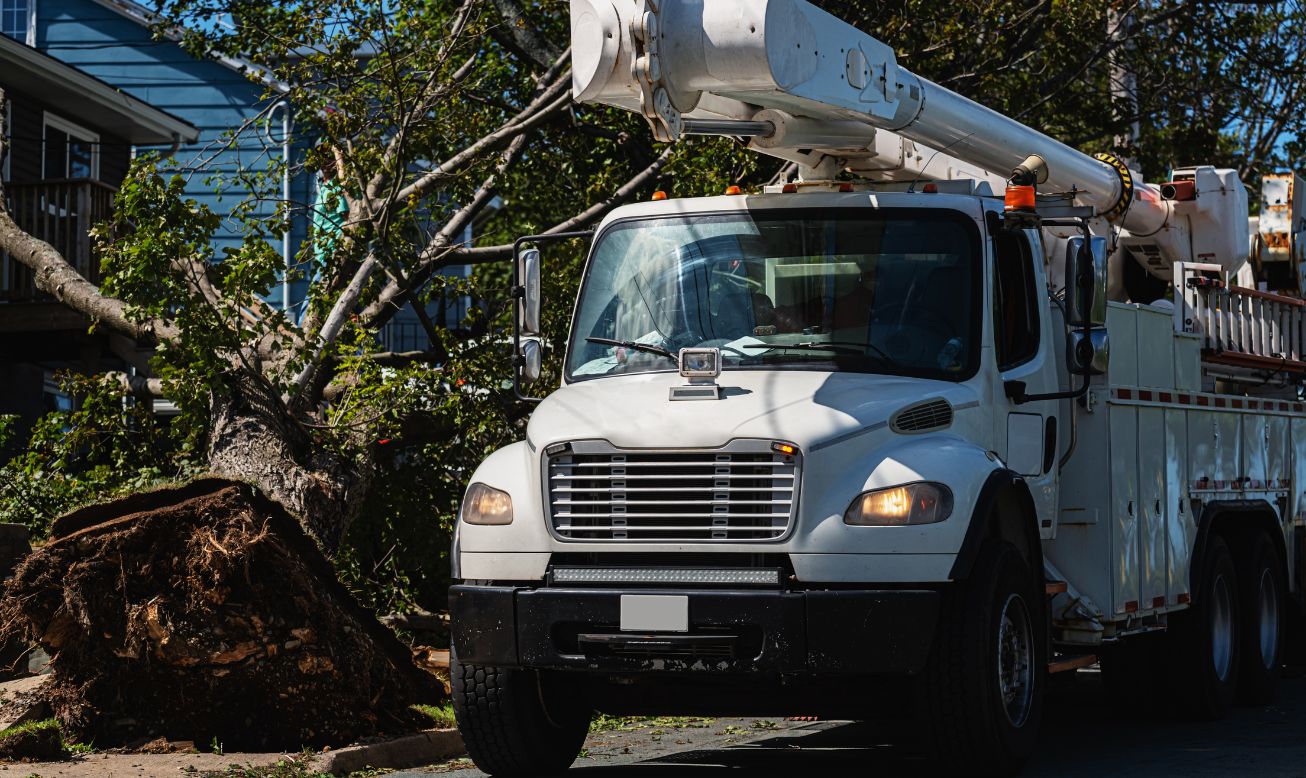 Ideal for Infrastructure and Public Services